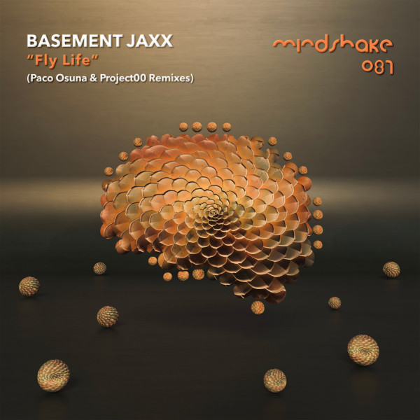 Basement Jaxx - Fly Life Paco Osuna and Project00 Remixes