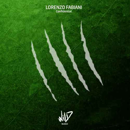 Lorenzo Fabiani - Confidential
