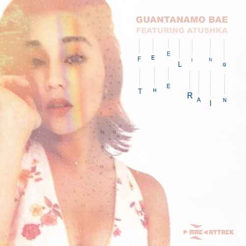 Guantanamo Bae - Feeling The Rain (Vocal/House/Progressive)