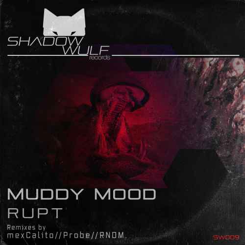 Muddy Mood EP
