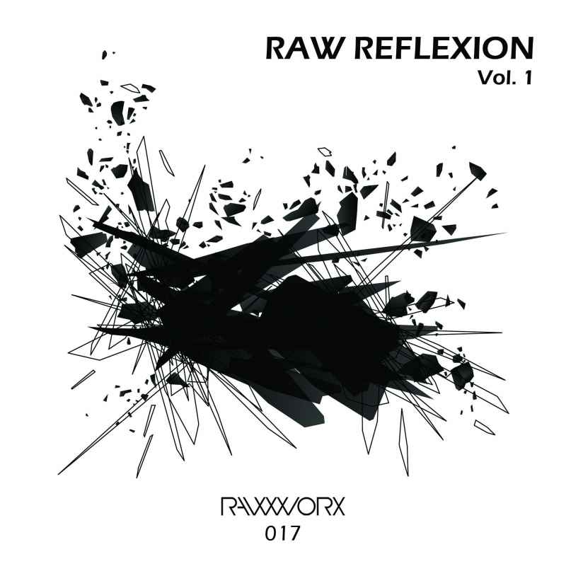 RAW Reflexion Vol. 1