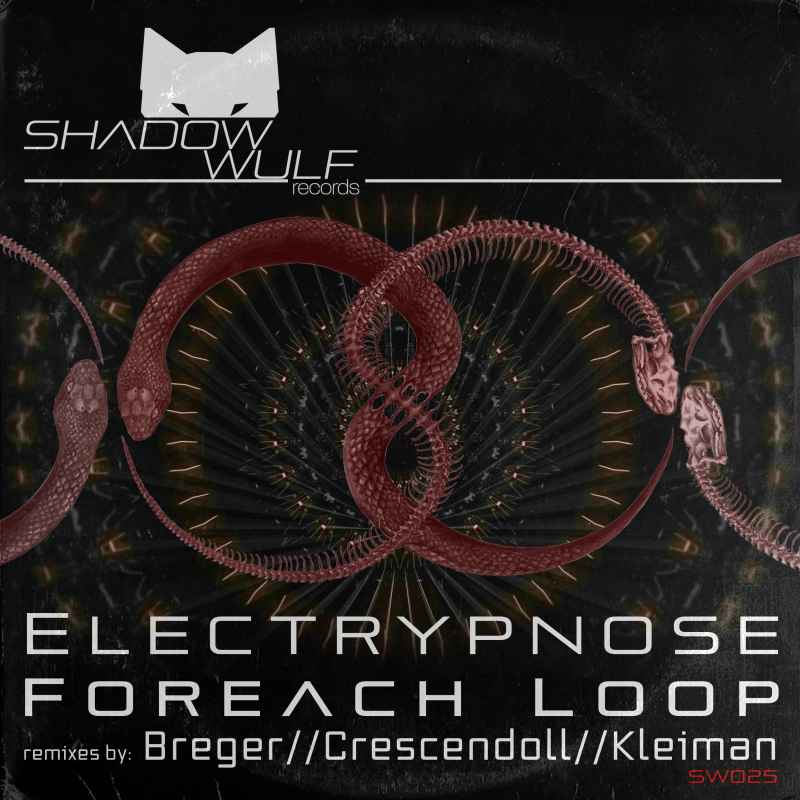 Electrypnose - Foreach Loop EP