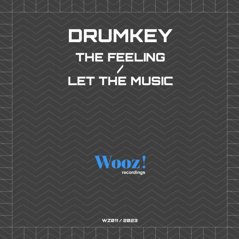 Drumkey - The Feeling / Let The Music
