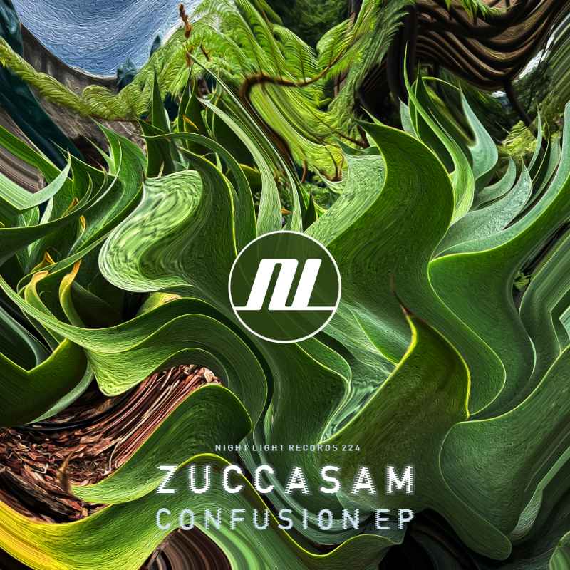 Zuccasam - Confusion EP