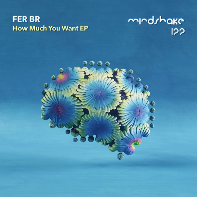 Fer BR - How Much You Want EP