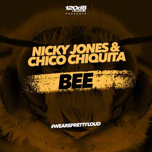 Nicky Jones & Chico Chiquita - Bee [Future House]