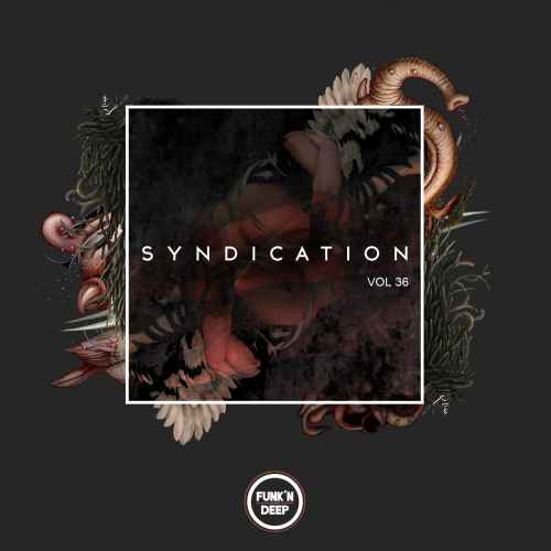 Syndication, Vol. 36 - Various Artists