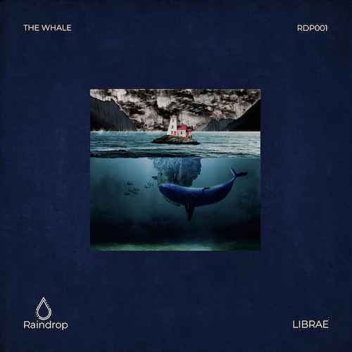 Librae - The Whale [Raindrop]