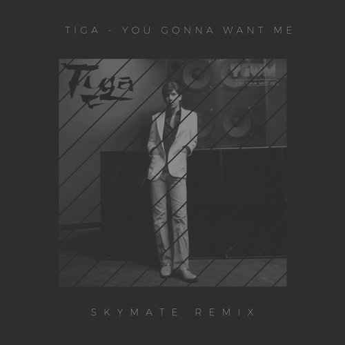Tiga - You Gonna Want Me (Skymate remix)